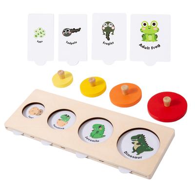 Montessori Educational Children Toy Wooden Sorting Matching Board Growth Process Cognize Preschool Learning Puzzle Game for Kids