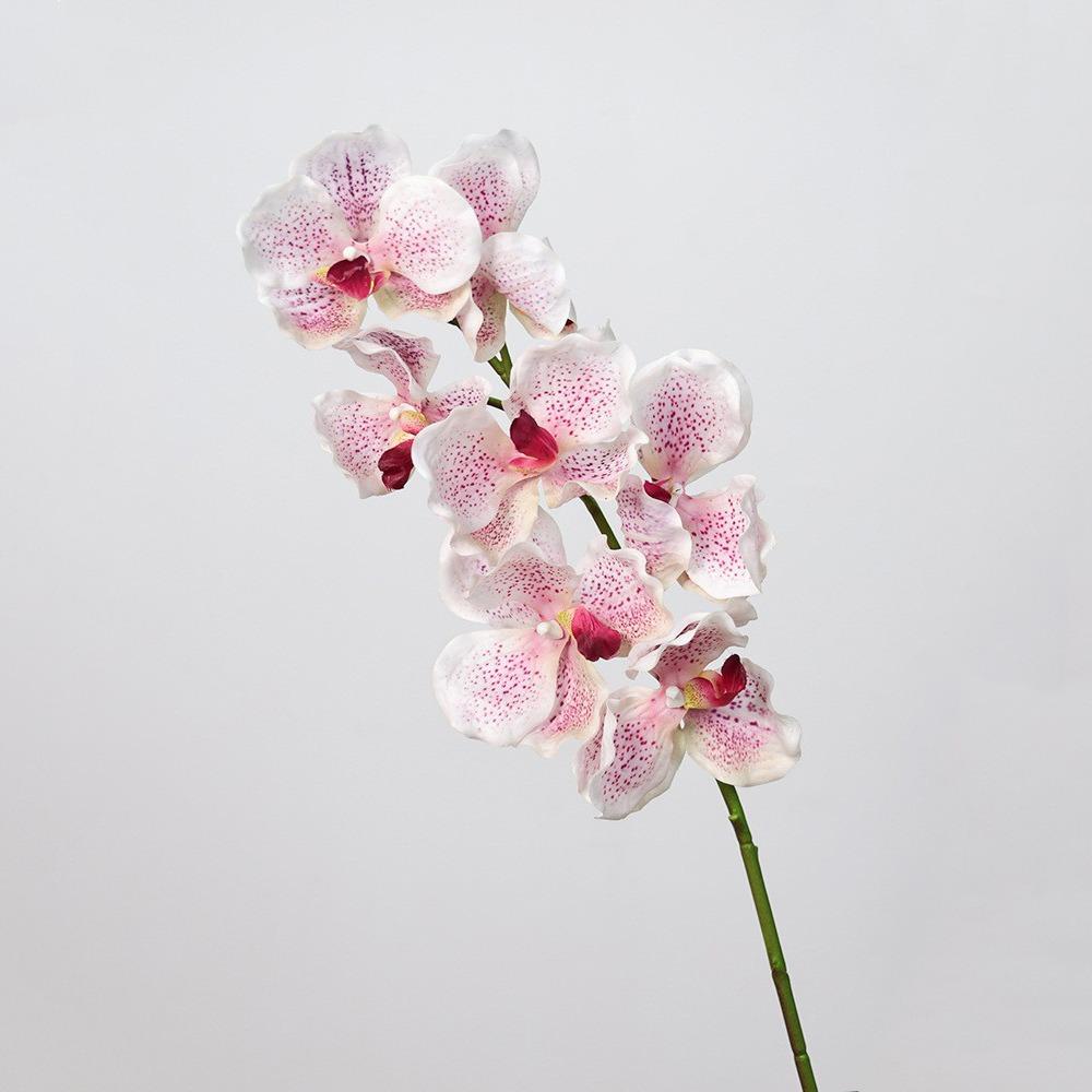 Plastic Phalaenopsis Branch Moisturizing Real Touch Orchids Simulation Flower  Office Decor