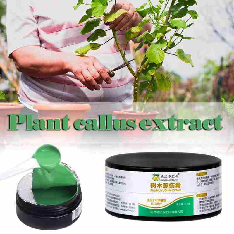 50g Bonsai Cut Paste Tree Wound Stay Hydrated Portable Compound Pruning I2K8