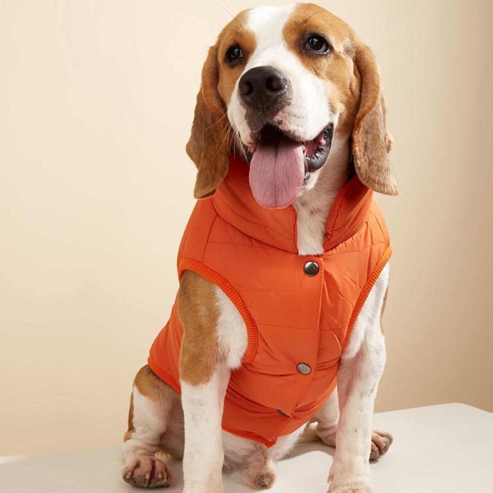 Pet Dog Clothing Small and Medium-sized Dog Autumn and Winter Cotton Jacket Teddy Thick Warm Clothes Jacket Vest Pet Accessories
