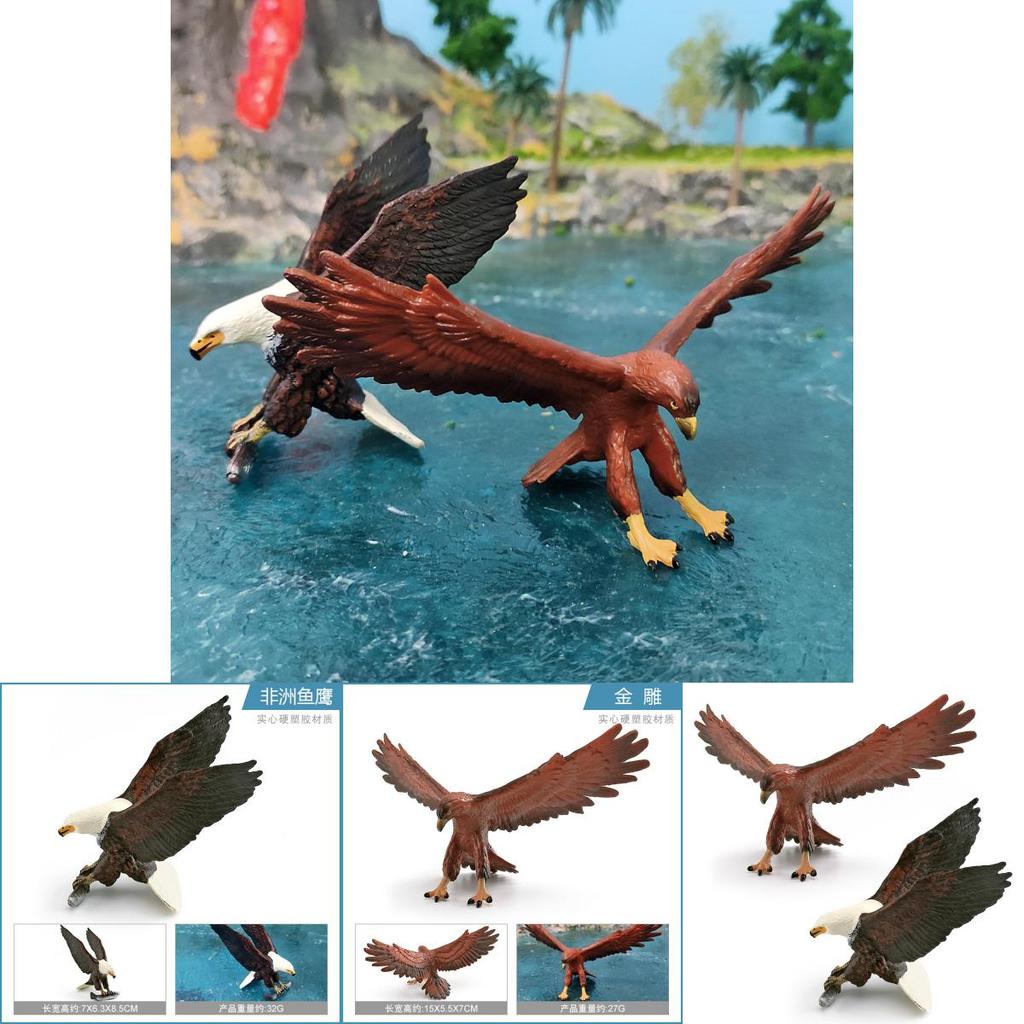 Wildlife Bird Eagles Replicas Pvc Desk Ornaments For Children Classroom Learning