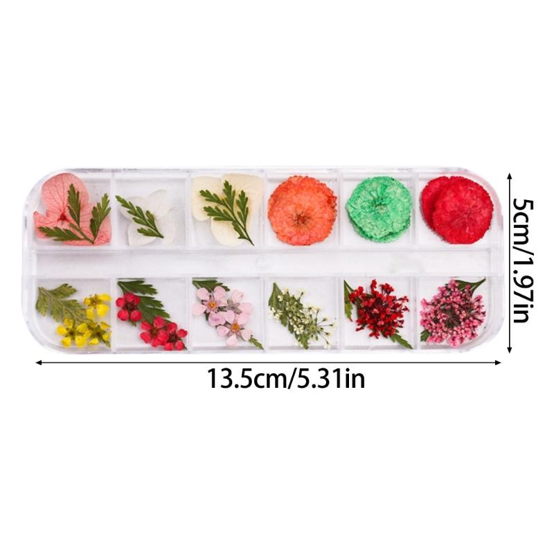 Assorted Color And Shape 3D Dried Flower For Creative Nail Designs Resin Art Projects Professional Salon Home DIY Use