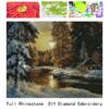 30x25CM Vollbohrung 5D DIY Diamantpunkte Rahmenlose Malerei Heimdekoration