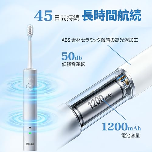 Hondar Sonic + Vibration Electric Toothbrush | Bass Method Replica, Gentle on Gum, Japanese Spec | 3D Brushing to Reach Periodontal Pockets, 38,000 So