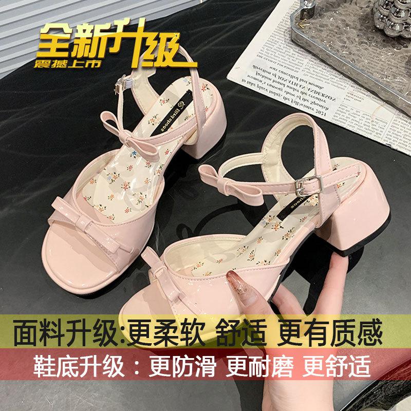 With skirt versatile fairy style sandals women's 2025 new summer small French thick high-heeled sandals women