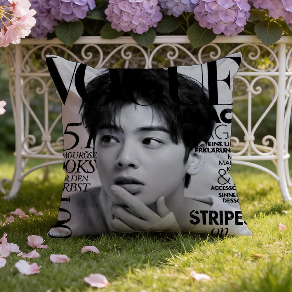 C-Cha E-Eun Woo Cushion Cover Home & Car Dual-Scene Pillow Cover: Reversible for Premium Comfort 30X30cm