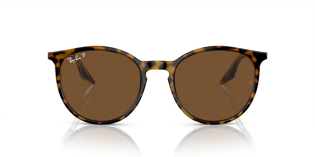 Sunglasses RB2204F HAVANA ON TRANSPARENT 54 Ray-Ban