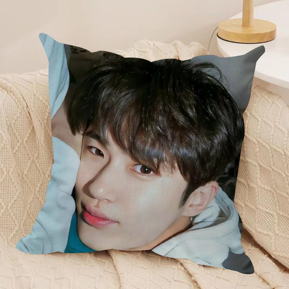 BByeon Wooseok Korea Cushion Cover Silky Short Plush DoubleSided Printed Pillow Case for Sofa All Seasons Home Decor Gift