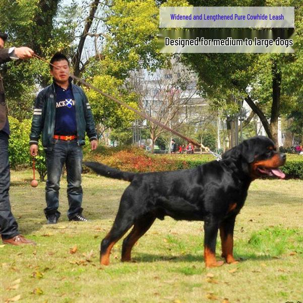 Přizpůsovatelné vodítko z hovězí kůže s logem - Řetěz/lano pro psa německého ovčáka