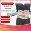 Breathable Four-Bar Waist Support Belt - Universal Fit for All Seasons, Ideal for Office and Sports Lumbar Protection for Men and Women.