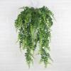 Pteridium Latiusculum Plant For Wedding And Outdoor Decorate Events