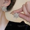 Silver Needle Diamond Flower Geometric Earrings Cold Wind Atmospheric Fashion Stud Earrings Premium Niche Fashion Earrings