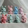 Bunny Series Fondant Epoxy Molds Manual Candle Aromath Soap Molds for Decor