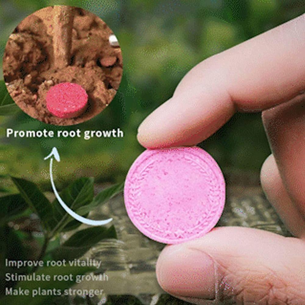 Bone Meal Fertilizer Organic Fertilizer All-purpose Fertilizer Slow-Release Tablet Ease Plant Food