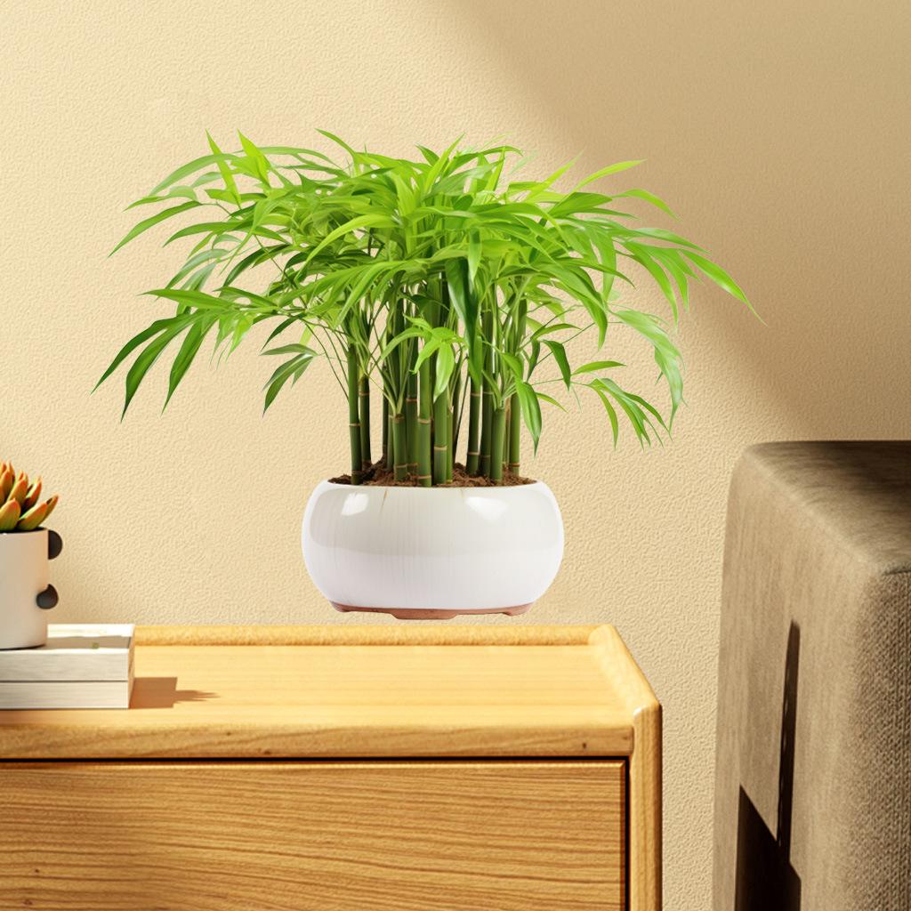 Bamboo Leaves Green Plant Wall Stickers, Removable Waterproof Self-Adhesive PVC Decals for Living Room Bedroom Bathroom Home Decor