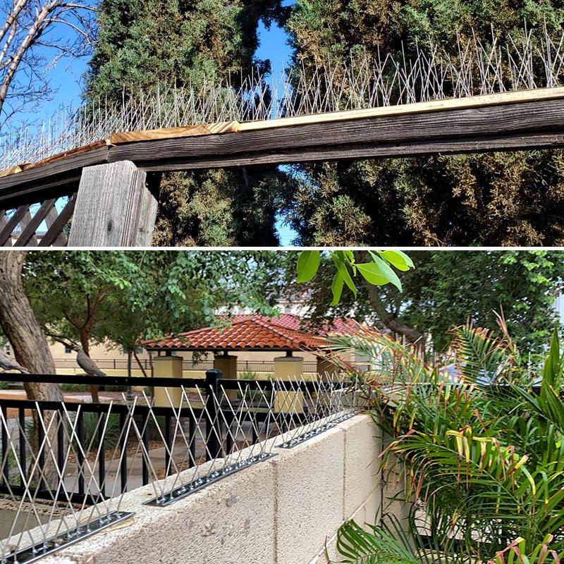 Bird Repellent Spikes Anti Against Birds and Pigeons Hooligans Deterrent Scarecaper Goods Scare Outside Repeller Balconies Pest