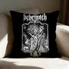 Bbehemoths Brand Pillow Case Pillowcase Doublesided Printed Sofa Cushion Bedroom Headboard Pillow