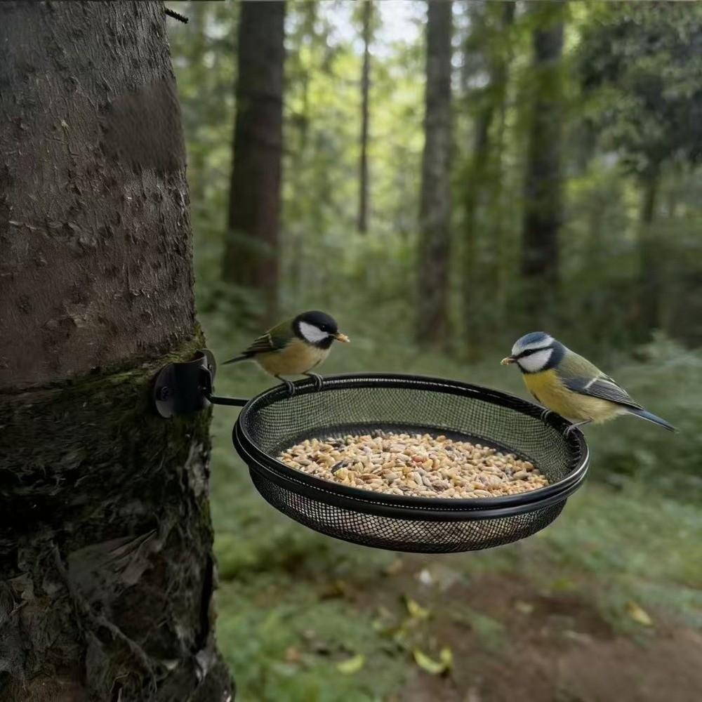 Wall Mounted Bird Feeding Tray Large Capacity Wild Bird Feeder Outdoor Bird Feeder  Wall Hanging