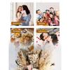 Natural Dried Flower Bouquet, Real Flower Arrangements Preserved Flowers Mix Bouquet, Varieties Flowers for Vase, Floral Arrangement for Home Wedding
