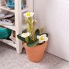 Miniature food toy plants, potted plants, mini models, artificial flowers 12 parts ob11 Gardening dollhouse Ceramics diy