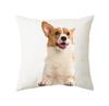 45x45cm Cute Cat Cushion Cover Polyester Throw Pillow For Bed Living Room Sofa Office Seat Car Kids  Decor Home