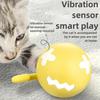 Pet Smart Ball Toy Fishbone Rolling Ball USB Luminous Electric Cat Ball Fun Relaxation Cat Stick Pet Accessories