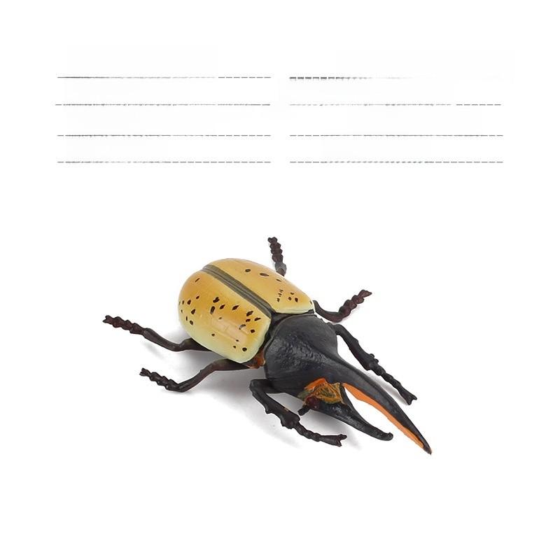 Allomyrina Dichotoma Model Pvc Realistic Display Scene For Science Education And Collectors