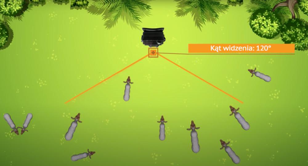 DENVER WCL-8040 - Forest Camera Trap for Wildlife Observation, Denver