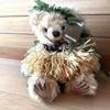 [USED] Hawaiian Teddy Bear with Serial Number