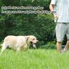 Multifunctional Pet Dog Leash - Anti-Pull Adjustable Length Soft Handle for Outdoor Walking Suitable For Small/Medium/Large Dogs