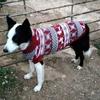 Christmas Big Dog Clothes Winter Pet Sweater for Medium Large Dogs Bulldog Labrador Golden Retriever Pullovers Mascotas Clothing