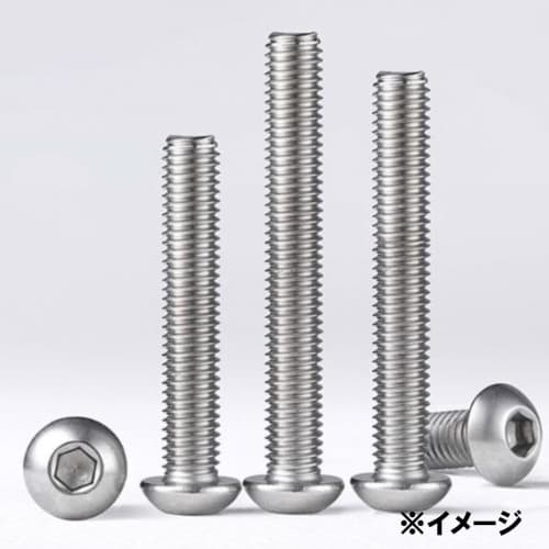 XSAJU 210-Piece Set of M2.5 Hex Bolts and Nuts, 304 Stainless Steel, Silver, with Case