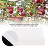 Envelop Vegetable Parchment Seeds Breeding Storage Bag for Home Garden Use (100pcs 16x10cm)