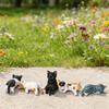 5-Pack Cute Healing Cat Monitor Decoration - Kawaii Screen Edge Sitter Figurines for Office Desk, Anti-Loneliness Companion