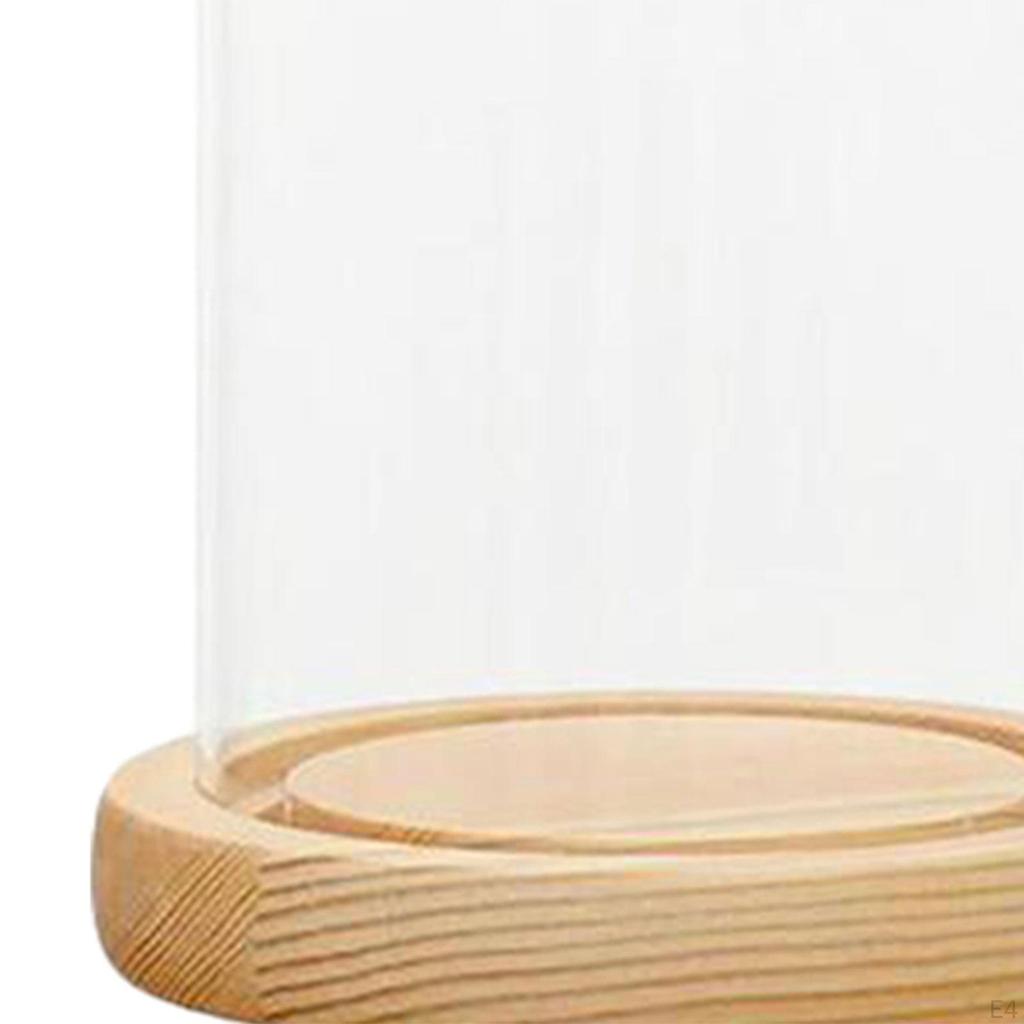 Clear Dome Cover Stand with Wood Base Decorative Sturdy Home Decor Accent Piece Transparent