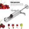 Red Dates Hawthorn Seeds Removing Tool, Reusable Grapes Seeds Removing Tool Stainless Steel Fruit Core Remover Tool for Red Dates Hawthorn Grape