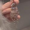 Sweet and Gentle Temperament Tassel Earrings  Exquisite Stylishaccessible Luxury Earrings  Classy Earrings