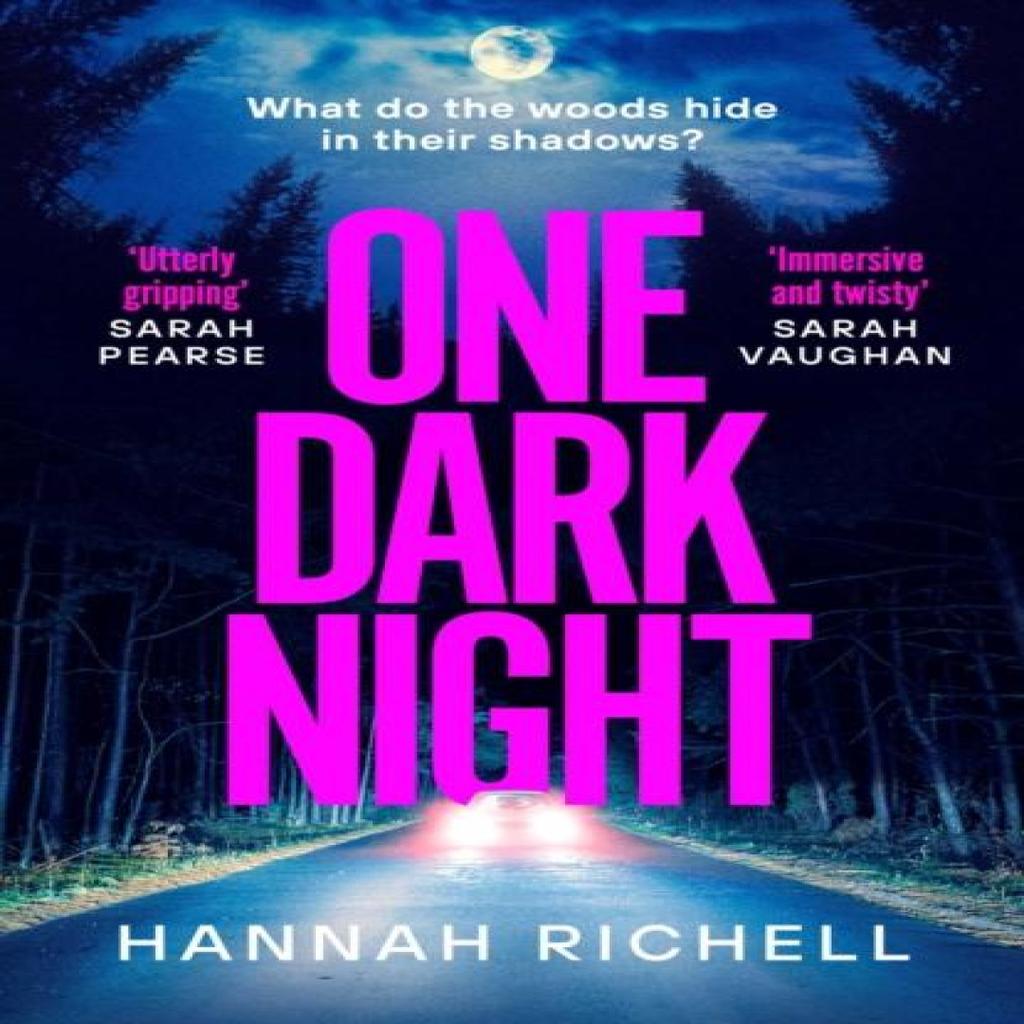One Dark Night by Hannah Richell Paperback Book 9781398528031