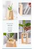 Retro Wooden Hydroponic Vase: Fresh Living Room Desktop Ornament for Chlorophytum.