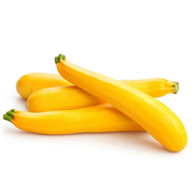 25 semillas de calabacín Goldena - verduras de huerta - semillas campesinas reproducibles - semisalvajes