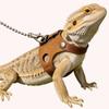 Adjustable Rat Harness and Leash Set 3 Sizes Vests Anti-Bite Chest Strap Lizard Traction Rope Leather Soft