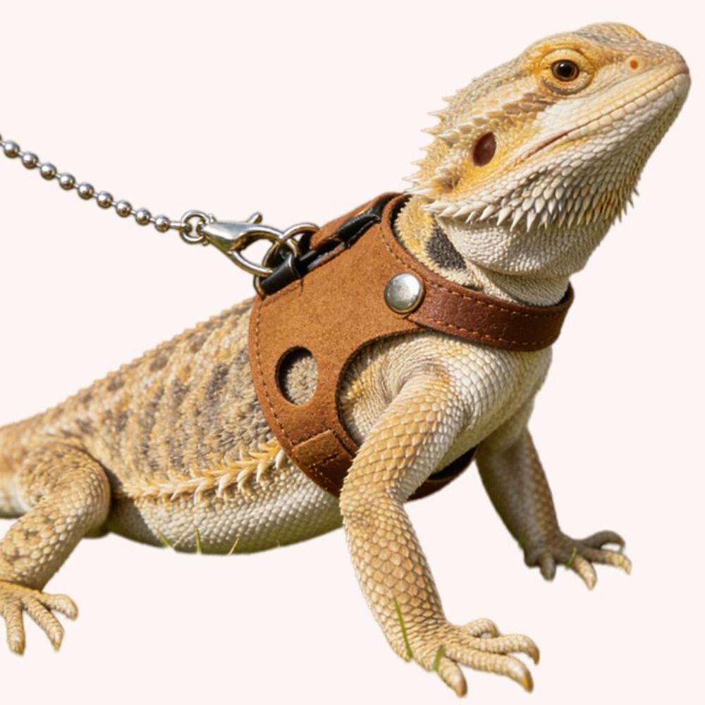 Adjustable Rat Harness and Leash Set 3 Sizes Vests Anti-Bite Chest Strap Lizard Traction Rope Leather Soft