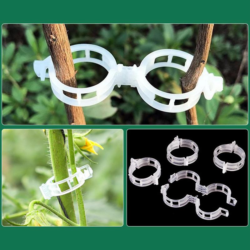100 Pcs Plastic Plant Clips For Climbing Plants Clear Plant Fixing Clip Tomato Trellis Clips Plant Support Clips Vine Fixing Clip
