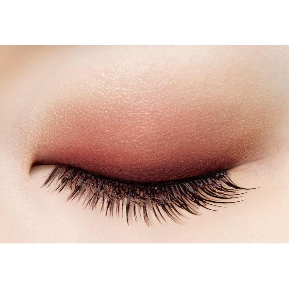 Excel Skinny Rich Shadow Sr06  23  Sensual Brown  Limited Design eyeShadow Palette Limited Design Sr06 Sensual Brown