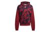 Sweatshirts Men's Red Hooded Moderate Regular H25089