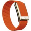 Suitable for Whoop 5.0 Mg Wristband Strap W  Leather Nylon Woven Elastic Whoop Sports Replacement Strap Gold Silver Metal