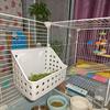 Rabbit Hay Feeder Rack Less Waste Food Rabbit Food Dispenser Grass Holder for Small Animals Guinea Pig Chinchilla Pet Hamster