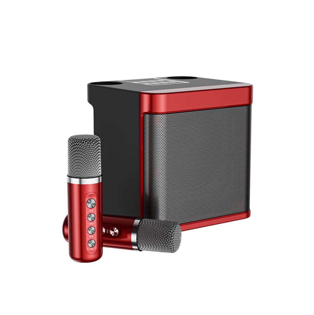 YS203k Bluetooth Karaoke Speaker with Wireless Microphone and Subwoofer