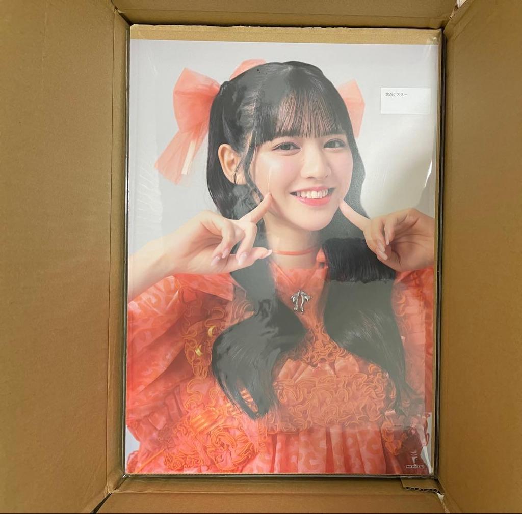 [USED] Chinzei Suzuka Online Fan Meeting A3 Poster