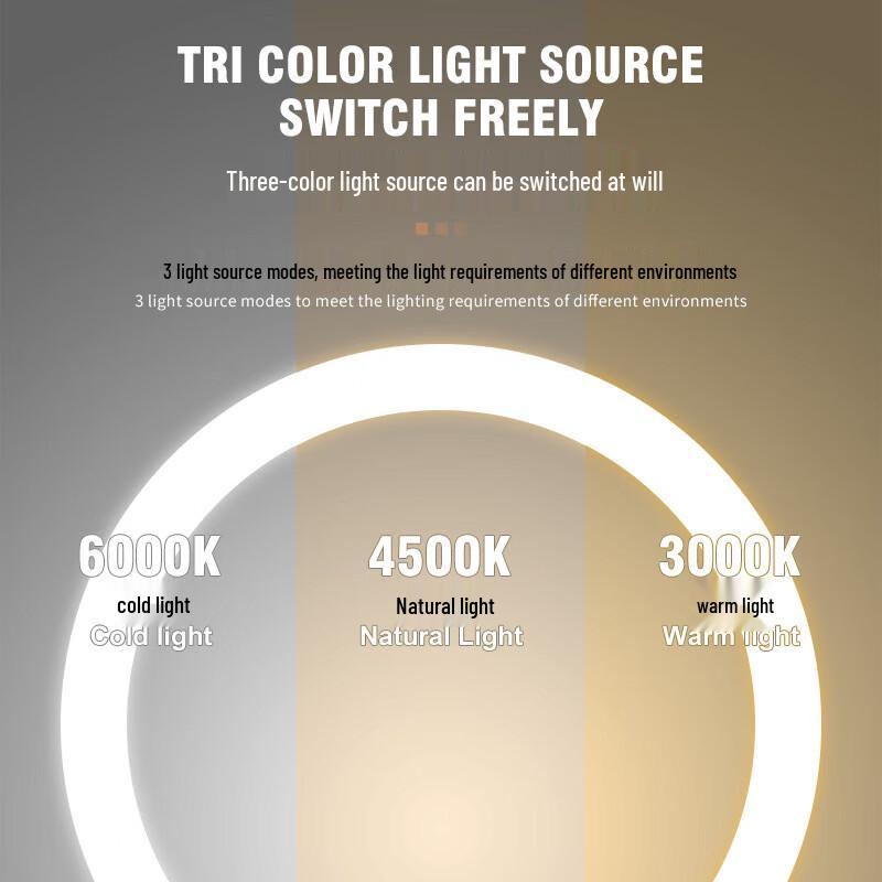 Yichen Wall-Mounted Lighted Makeup Mirror